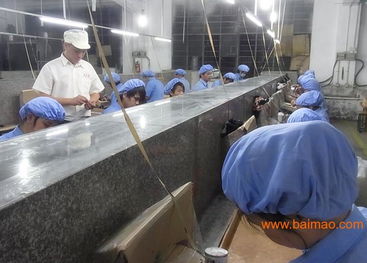 專業玩具加工與塑膠配件生產 技術、價格與咨詢服務全解析